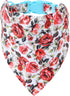 Mile High Life Girl Dog Collars - Cute Bandana Collar, Soft Poly Cotton Fabric for Small Dogs, Flower & Fruit Pattern