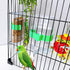 Bird Water Dispenser Parrot Feeder, 2 Pcs Automatic Waterer for Cage Accessories, Cockatiel, Finch, Lovebird