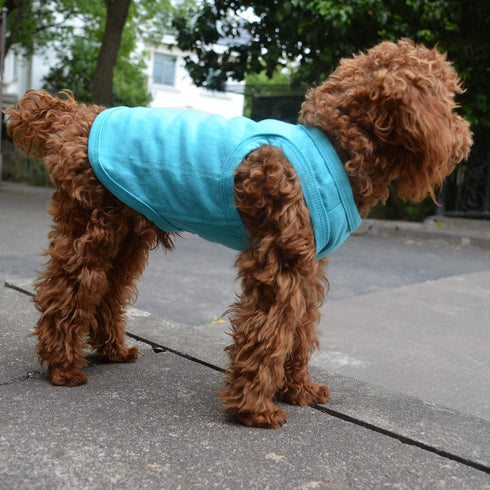 2018 Pet Clothes Dog Clothing - Blank T-shirt Tanks for Small to Large Dogs, 100% Cotton Summer Vest (XXL, Turquoise)