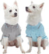 Blueberry Pet Back to School Dog Polo Shirts - 2-Pack Cotton Outfit for Small Pets in Sky Blue + Light Grey