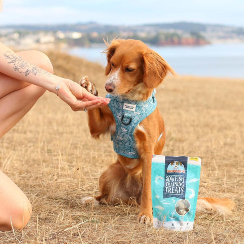 SKIPPER'S Fish Training Treats for Dogs, 80% Steamed Salmon & Trout, Grain Free, 3.5 Oz