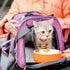 Mr. Pen Pet Carrier, Pink Soft Cat and Dog Travel Carrier Bag for Pets