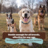 2 oz Natural Dog Company Skin Soother Balm for Skin Irritation, Allergy and Itch Relief for Dogs, Hot Spot Treatment