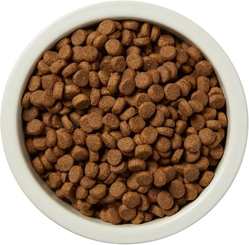 (24 lb Amazon Brand - Wag Dry Dog Food Grain-Free Beef & Lentil Recipe, High Protein bag)