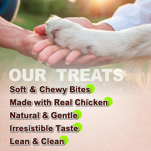 16 oz Pack A Freschi srl Soft Chicken Dog Treats, All Natural, High-Protein, Healthy & Easily Digestible, Grain-Free