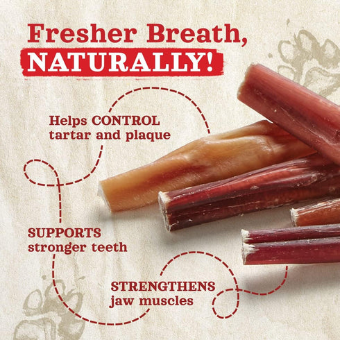 Natural Farm Odor Free Bully Sticks (7 Inch, 10 Pack) - 100% Beef Pizzle Chews for Small and Medium Dogs