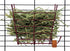 Kaytee Hay Manger with Salt Hanger for Rabbits and Guinea Pigs