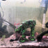 AT-AT Walker Aquarium Decorations - Cool Fish Tank Decor for Betta Fish Hide Cave Ornament
