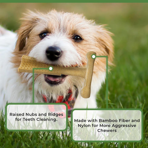 SPOT Bam-bones PLUS T Bone, Durable Bamboo Fiber & Nylon Chew Toy for Aggressive Chewers, 4in Chicken Flavor
