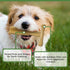 SPOT Bam-bones PLUS T Bone, Durable Bamboo Fiber & Nylon Chew Toy for Aggressive Chewers, 4in Chicken Flavor