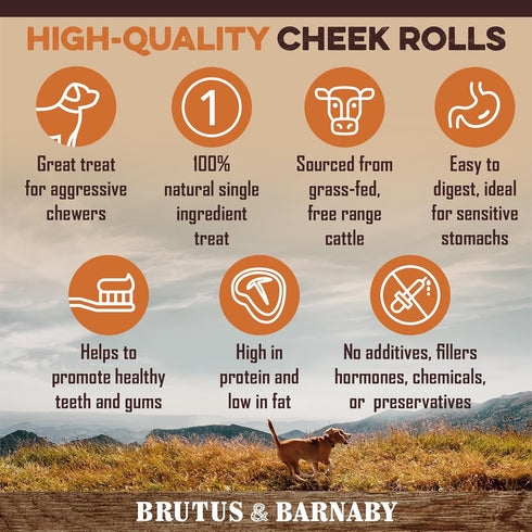 Premium Beef Cheek Rolls for Dogs 10-12" - (5-Pack) Long Lasting, Safe & Natural Rawhide Alternative Chews