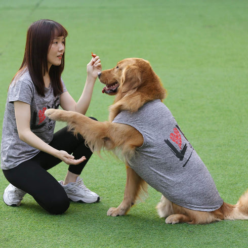 Dog Shirts Love Puppy Shirt for Pets, Sleeveless Vest T-Shirt, Apparel for Dogs Cats (5X-Large, Grey-Pet)