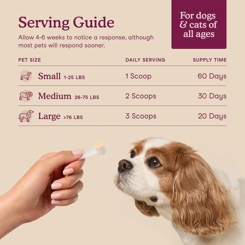 Immunity 60 Fera Pets Bladder Support - Cranberry for Dogs & Cats - D-Mannose & Marshmallow Root - Urinary Tract