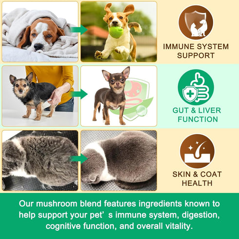 IRSRDOQU 11 Immune 120g Mushroom Supplement Powder for Dogs & Cats, Beneficial Mushroom Complex for Support, Cellular