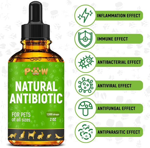 Dog Antibiotics for Infection, Coughs, UTIs, Allergies, Natural Antibiotics for Cats, 2 oz
