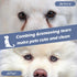 10 Pieces Tear Stain Remover Comb, Stainless Steel Pet Grooming Comb for Dogs and Cats