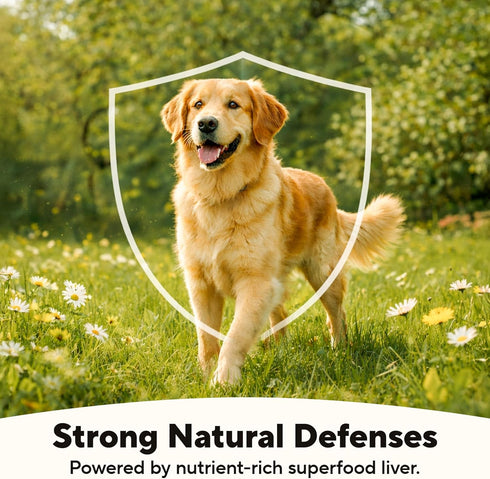 (95% 12.5 oz (12 Pack) Dave's Pet Food Grain Free Wet Dog Food Beef & Beef Liver), Made in USA Single-Source Protein
