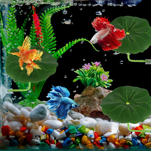 Xinjoduz 3 Pack Hammock (2.56 Inches) Xindojuz Betta Fish Toys, Plastic Betta Bed Leaf for Fish Tank Decorations, Safe