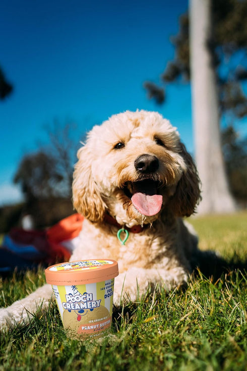 Pooch Creamery Ice Cream Mix for Dogs, Peanut Butter
