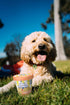 Pooch Creamery Ice Cream Mix for Dogs, Peanut Butter