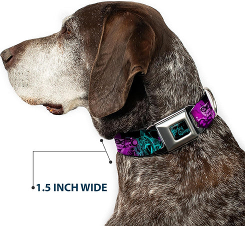 Dog Collar Seatbelt Buckle Harley Quinn Pow Aiming Poses Joker Black Turquoise Fuchsia 15 to 26 Inches