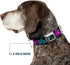 Dog Collar Seatbelt Buckle Harley Quinn Pow Aiming Poses Joker Black Turquoise Fuchsia 15 to 26 Inches