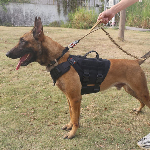 ICEFANG GN3 Tactical Dog Harness with 6X Buckle, Molle Vest with Handle, No Pulling Front Clip (XL, Black)