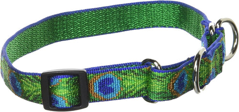 LupinePet Originals 3/4" Tail Feathers 14-20" Martingale Collar for Medium and Larger Dogs