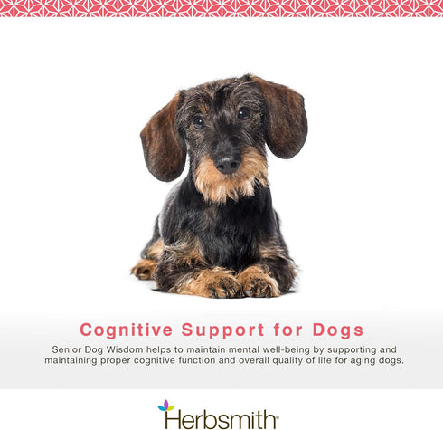 Herbsmith Senior Dog Wisdom - 150g Dog Dementia Supplement for Senior Dog Brain Health with DHA