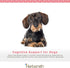 Herbsmith Senior Dog Wisdom, Dog Dementia Supplement, DHA for Senior Dog Brain Health, 75g