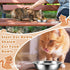 Cat Bowls, 12Pcs Stainless Steel Food Bowls, Replacement Whisker Fatigue Relief Dishes for Small Dogs and Cats