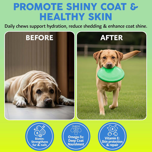 3, 6, 9, 120 Asher House Wellness Skin & Coat Chews - Dog Itching Skin Relief with Omega Fish Oil, Biotin - Dogs Itchy