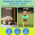 3, 6, 9, 120 Asher House Wellness Skin & Coat Chews - Dog Itching Skin Relief with Omega Fish Oil, Biotin - Dogs Itchy