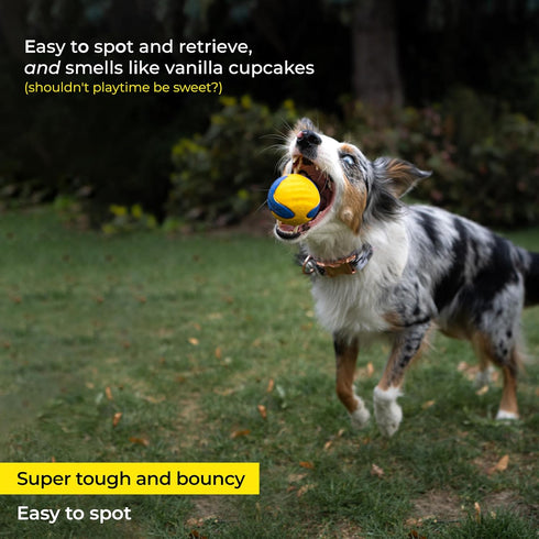 Chew Ring & Fetch Ball Combo for Aggressive Chewers | Heavy-Duty, Ultra-Durable Natural Rubber Toys for Medium to Large