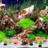 POPETPOP 40 Pcs Mini Plants Artificial Seaweed Aquarium Plants, Small Fake Aquarium Plant Decor for Betta Fish