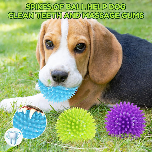 2.5" Squeaky Dog Balls for Small Medium Dogs, 6 Pack Chew Toys with Spike for Teeth Cleaning (green)