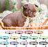 42 Pcs Puppy Collars for Litter, Adjustable ID Collars with Bell for Newborn Dogs and Cats, Reflective
