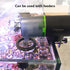 FREESEA Fish Feeding Ring for Aquarium: Round Floating Food Rings for Betta Turtle Tank