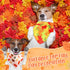 50 25 (25.6 17.7 17.7) Preboun Pcs Fall Thanksgiving Dog Bandana Bulk Pumpkin Maple Leaves Bandana for Dogs Triangle