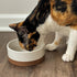 Mora Ceramic Pet Bowl Size Small, Food/Water Dish for Puppy Dogs, Cats, Guinea Pig, 11oz or 2 Cups, Vanilla