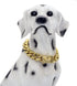 18K Gold Dog Chain Collar with Secure Buckle, Heavy Duty Chew Proof for Dogs (20")