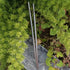 TITECOUGO Lightweight Titanium Metal Chopsticks, Portable Camping Flatware for Kitchen Cooking Meals