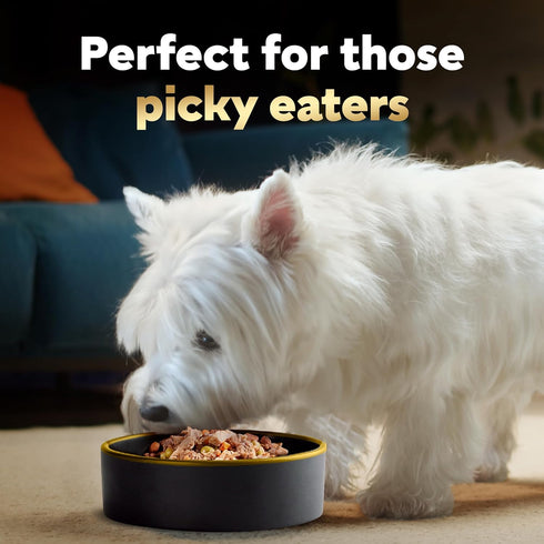 CESAR SIMPLY CRAFTED Adult Wet Dog Food Meal Topper, Beef, Chicken, Purple Potatoes, Peas & Carrots, 1.3 oz, Pack of 10