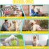 3 Pack Washable Dog Diapers Female Reusable Premium Highly Absorbent Doggie Diapers, Flexible Puppy Diapers, Durable