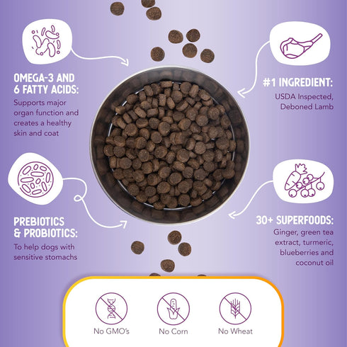 Health Extension Dry Dog Food - Natural Food for Puppies & Dogs with Added Vitamins, Lamb & Brown Rice Recipe (1 Lb)