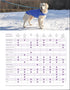 RC Pet Products Large Packable Dog Rain Poncho, Sunshine