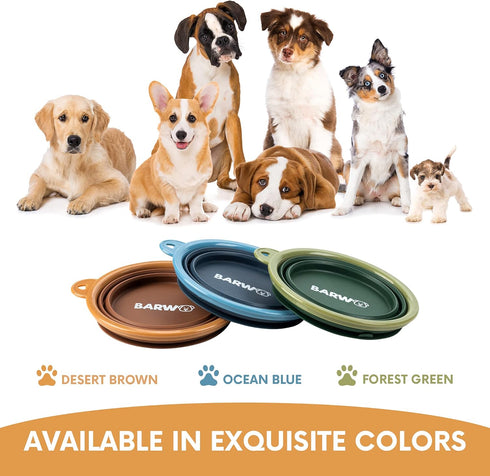 Collapsible Dog Bowl with Non Skid Suction Base, 100% Pure Silicone Foldable Water Bowl, 350mL