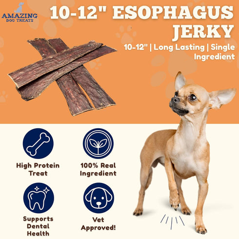 (10-12 Inch 30 Pc/Pack) Amazing Dog Treats - Beef Esophagus Jerky for Dogs - - Gullet Dog Chews