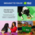 1 lb (16 Oz) The Pets Table Beef & Berries Grain-Free Air Dried Dog Food, Bag