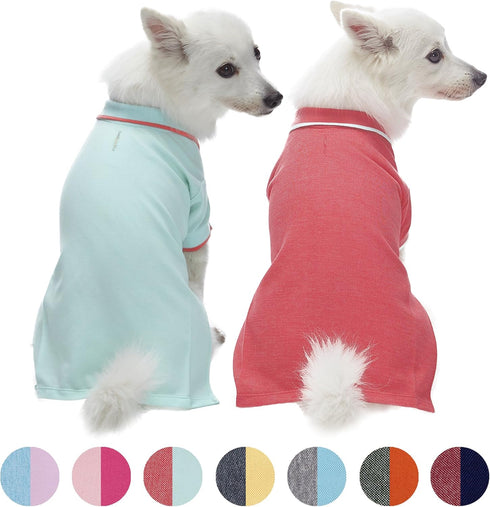 Blueberry Pet Back to School 2-Pack Dog Polo Shirts in Mint Blue + Terra Cotta Red, Back Length 10 inch
